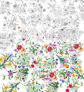 彩色花卉圖案與黑白線稿對比