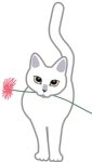 叼着花的猫
