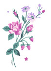 卡通鲜花