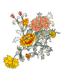 卡通花朵图案