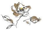花朵图案