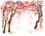 涂鸦彩画