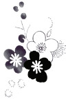 韩国花纹PSD素材