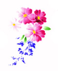花卉绘画