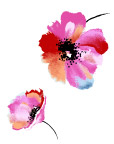 花卉绘画