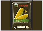 掖单12包装设计