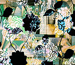 黑色冬菊