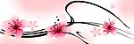 花之韵
