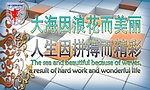 学校展板