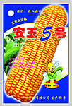 安玉5号玉米包装