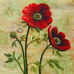 极品花卉油画