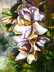 花卉油画