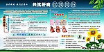 肝病医院科普知识展板 共抗肝病你我同行