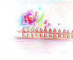 阳光花园