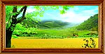 自然风景 田野风景 美丽大自然 挂画