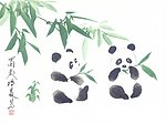 熊猫一对第一集