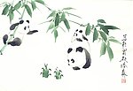 熊猫三只第二集