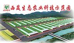 鸟瞰图