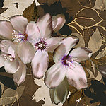 花卉油画