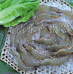 连头生虾