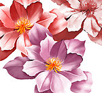 手绘花