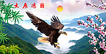 大展鸿图