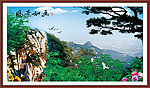 风景