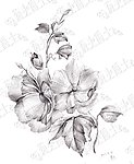 素描小花