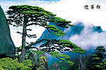 风景黄山迎客松立体画序列图