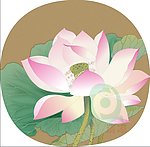 国画荷花