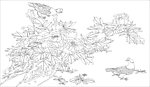 牡丹鸳鸯图