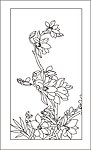 玉兰花
