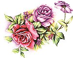 牡丹花