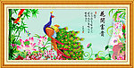 花鸟画 花开富贵