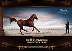 尊贵地产广告