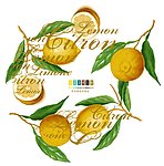 柠檬 英文字 分层道通