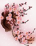 梅花