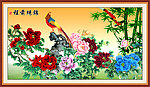国画 花鸟画