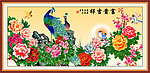 花鸟画 富贵吉祥