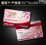 VIP模板 vip 精品VIP vip卡 美容卡 美容VIP