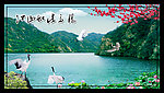 江南风光 流水生财