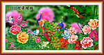 国画 花开富贵