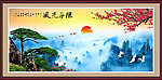 风光无限