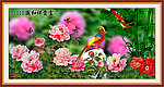 工笔画 花开富贵