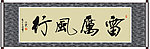 雷历风行书法