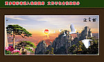 迎客松 风景 山水