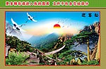 迎客松 山水 风景