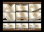 高档VIP卡 6