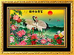 牡丹