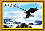 大鹏展翅